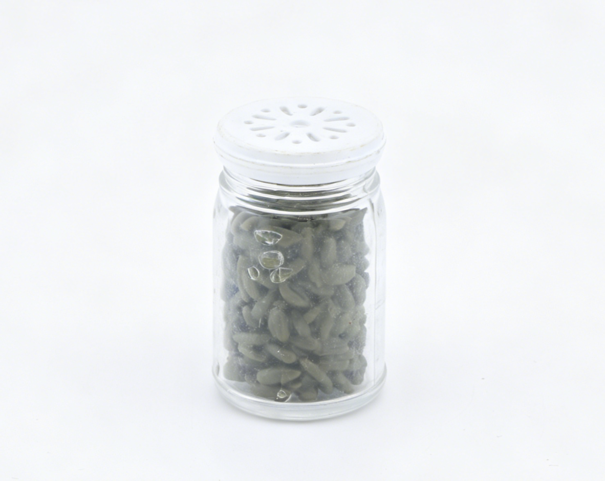 Turtle bird food for 18'' doll pet