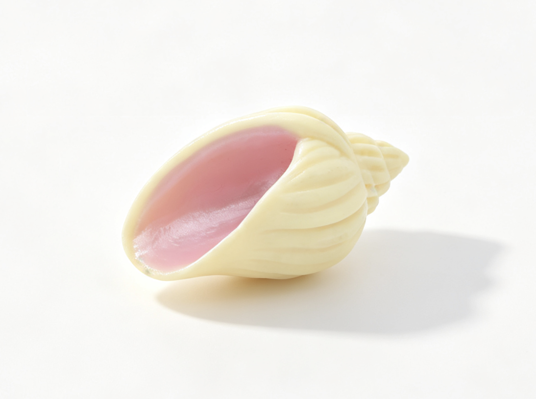 Mini Cream Conch Shell Prop FOR 14.5'' DOLL | Ocean Beach Treasure Scene Accessory