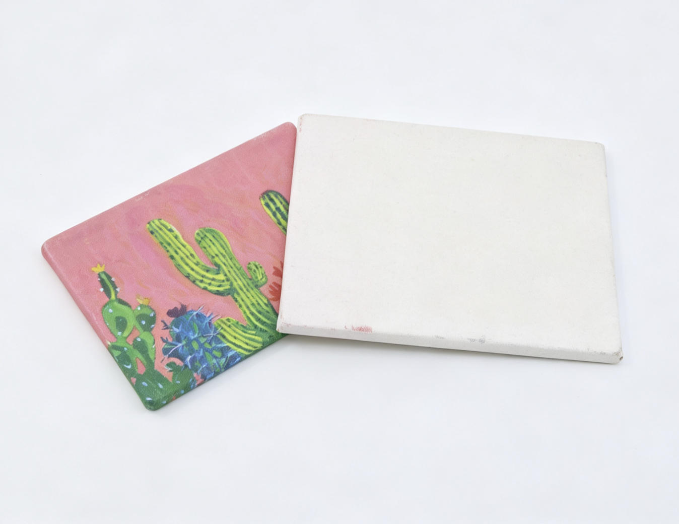 2Pcs Cactus Wall Art artboard For 18'' Doll Saige Art Set