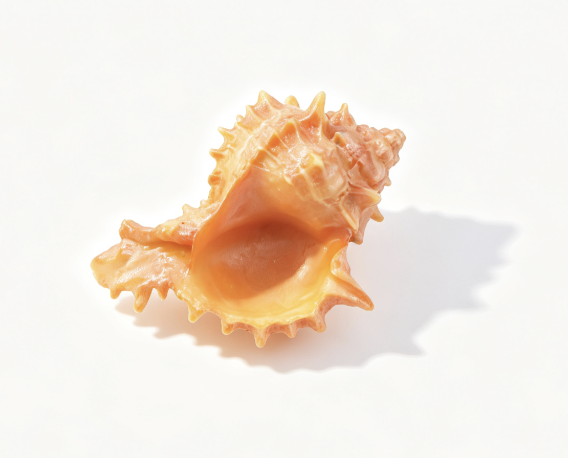 Spiky Pinkish Brown Large Conch Shell Prop FOR 18'' DOLL | Seaside Cabana Beach Scene Accessory