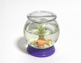 Fishbowl with Goldfish Pebbles & Plant for 18'' Doll Cool Classroom