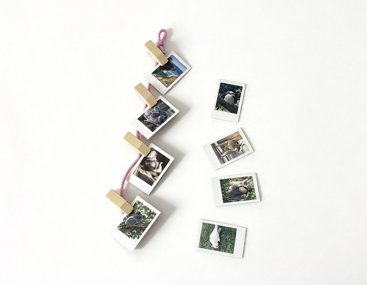 8-Piece Wildlife Photos & Photo Hanger FOR 18'' DOLL Kira Comfy Platform Tent Set