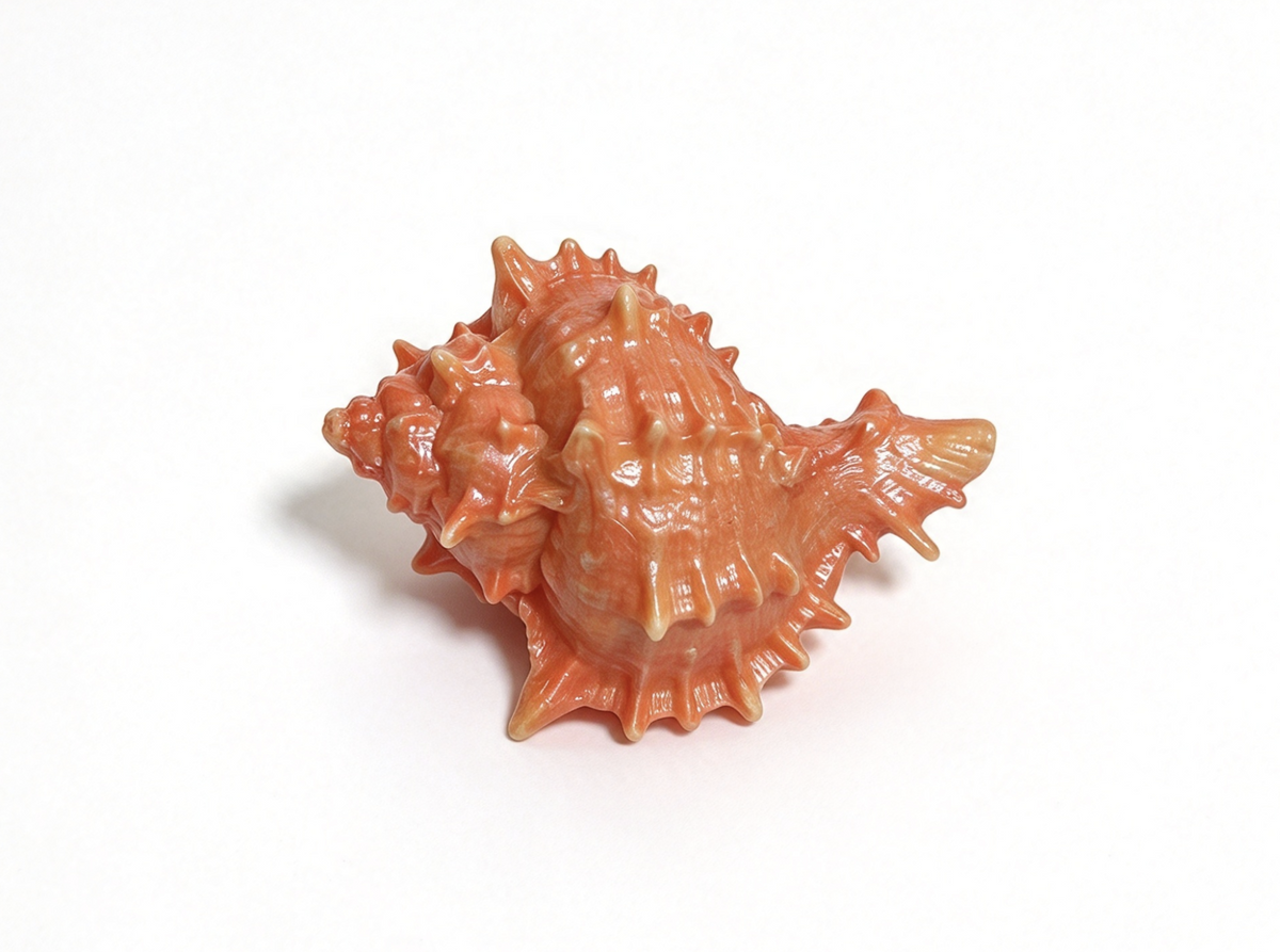 Seaside Cabana Conch Shell FOR 18'' DOLL Today Collection Accessory