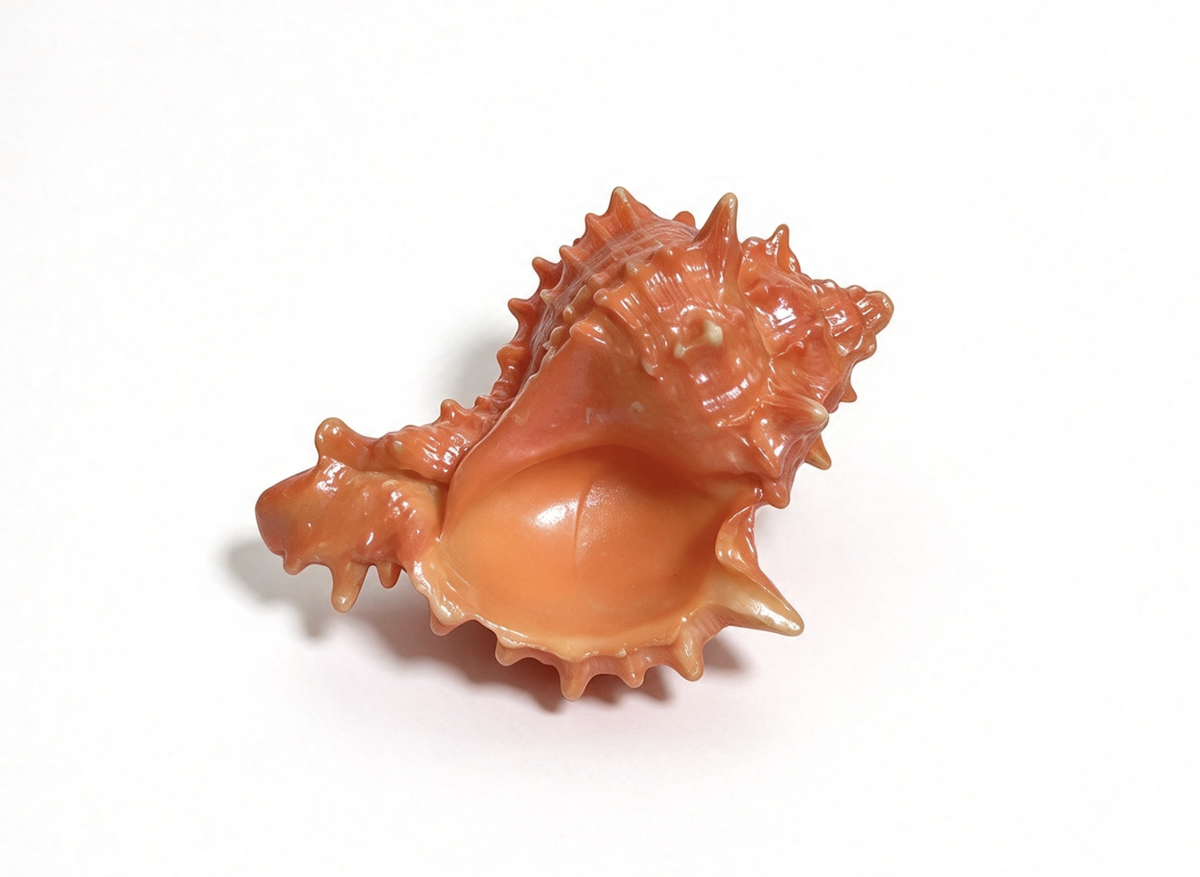 Seaside Cabana Conch Shell FOR 18'' DOLL Today Collection Accessory