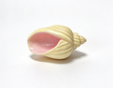 Shell Conch For 14.5'' Doll Ocean Treasure Set