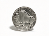 Silver Play Money Kit Dime Buffalo Coin for 18'' Doll Meet Accessory