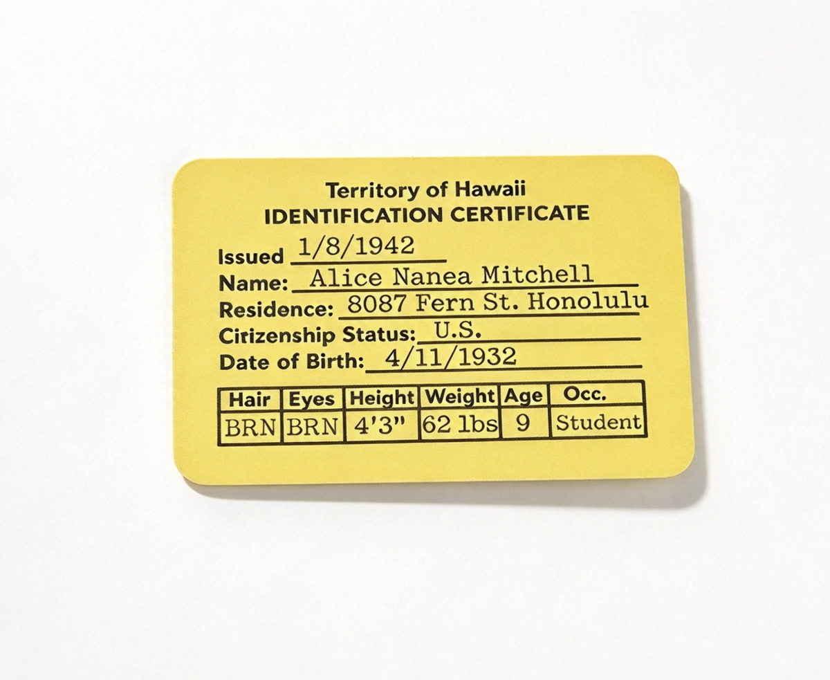 ID card for 18'' Doll Nanea Meet Accessories